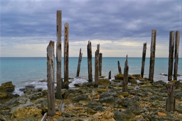Zdjecie - Australia - Aldinga  Beach i Port Willunga