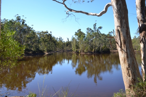 Zdjęcie z Australii - Jeziorko Playford Lake w Parku Narodowym Belair