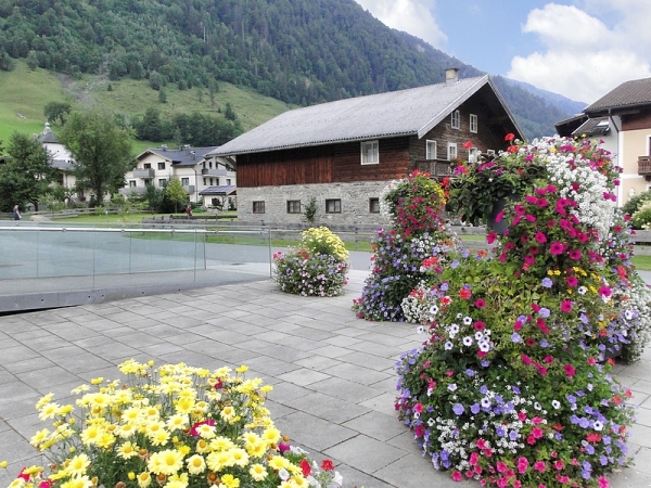 Zdjęcie z Austrii - Miejscowość jest niezwykle zadbana i ukwiecona.