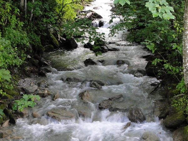 Zdjęcie z Austrii - Przez wioskę przepływa spływający z gór rwący strumień...