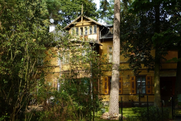 Zdjęcie z Polski - niektóre domy widoczne są tylko zza krzaków i schowane w sosnowych zagajnikach