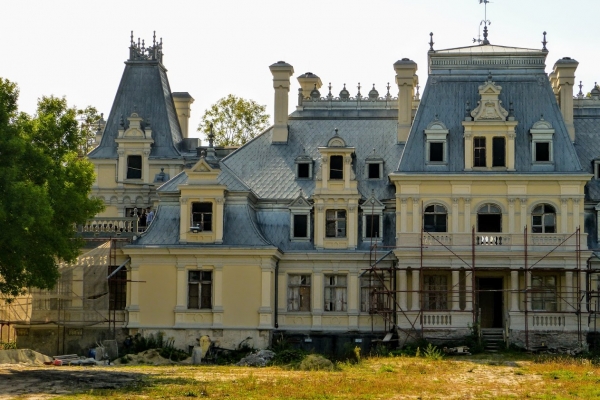 Zdjęcie z Polski - pałac w Guzowie