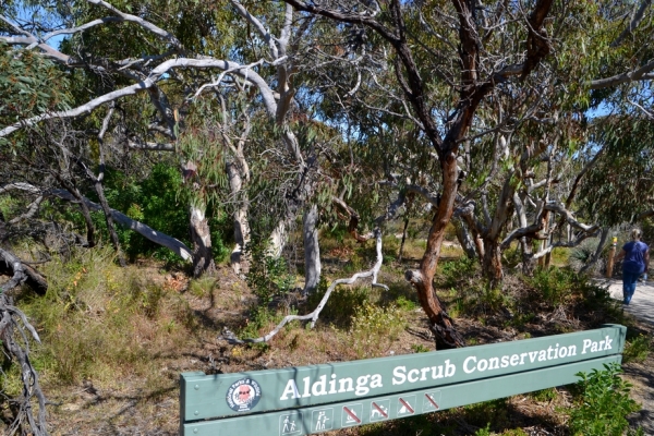Zdjęcie z Australii - Rezerwat Aldinga Scrub - busz wydmowy