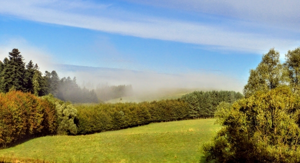 Zdjęcie z Polski - mimo słonka - mgła się utrzymuje.... 