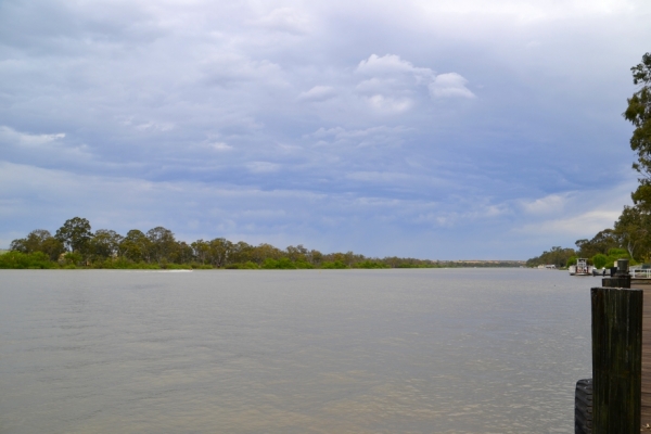 Zdjęcie z Australii - Rzeka Murray River - najdluzsza rzeka Australii