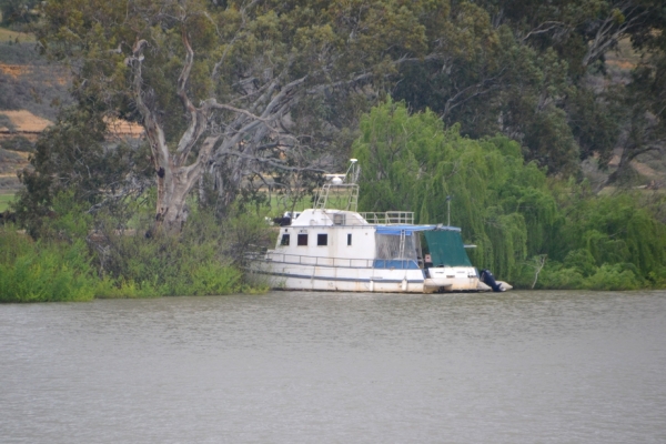 Zdjęcie z Australii - Czasem ludzie mieszkaja na takich hauseboatach