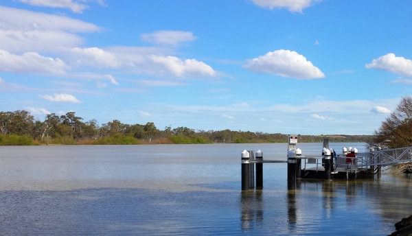 Zdjęcie z Australii - Murray River w sloncu wyglada lepiej