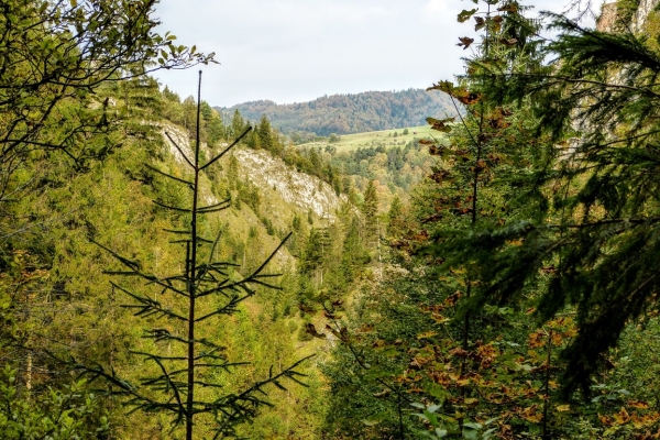 Zdjęcie z Polski - tutaj mamy "niespodziankę", bo wchodzimy w las, ścieżka prowadzi dość ostro pod górę