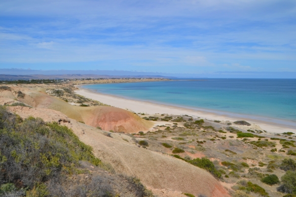 Zdjęcie z Australii - Widok z Blanche Point na plaze Willunga