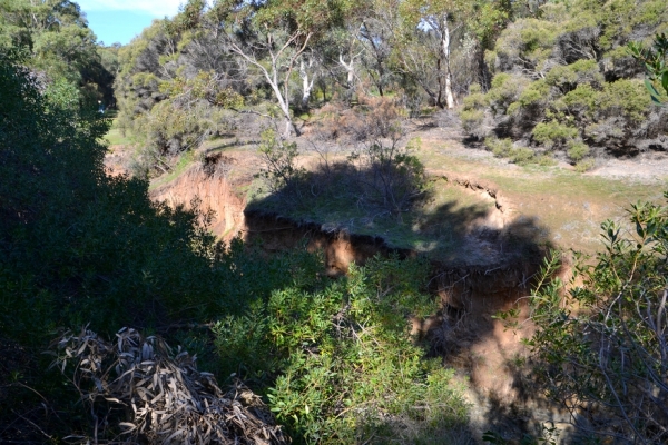 Zdjęcie z Australii - Wąwóz strumienia Waterfall Creek