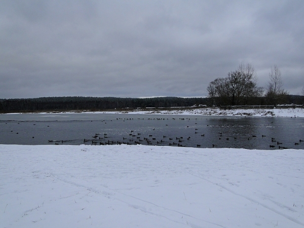 Zdjęcie z Polski - Ale i zimowy widok na rzekę jest całkiem przyjemny...