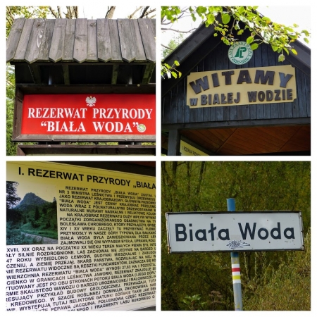 Zdjęcie z Polski - wkraczamy na teren Rezerwatu Przyrody "Biała Woda" , który został tu utworzony na terenie 