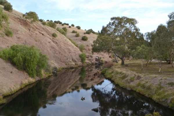Zdjęcie z Australii - Widok na rzeke z mostku