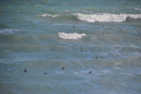 Zdjęcie z Australii - Wracamy na klif - surferzy maja raj :)