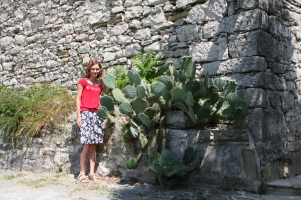 Zdjęcie z Chorwacji - Kaktus