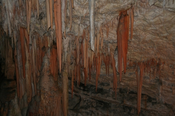 Zdjęcie ze Słowenii - Małe stalaktyty