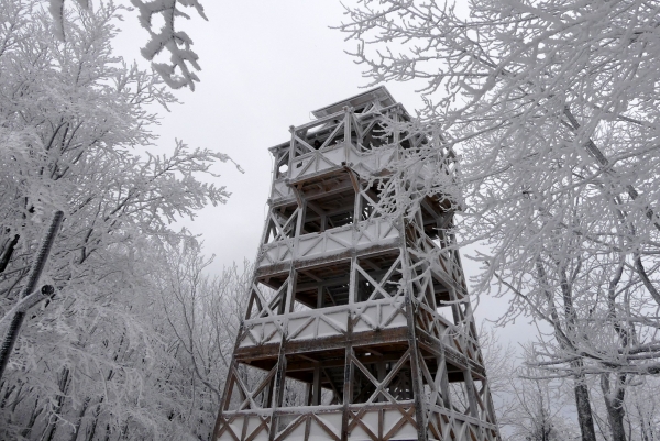 Zdjęcie z Polski - wieża widokowa na Cergowej