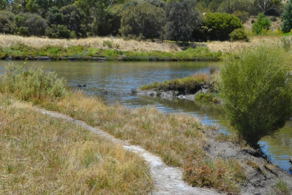 Zdjęcie z Australii - Ujscie strumyka Seaford Meadows Creek