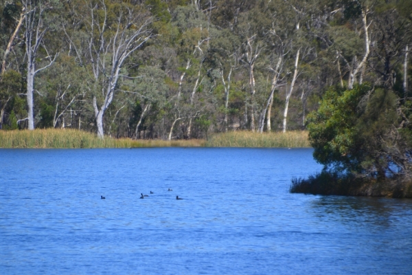 Zdjęcie z Australii - Sztuczny zalew Barossa Reservoir