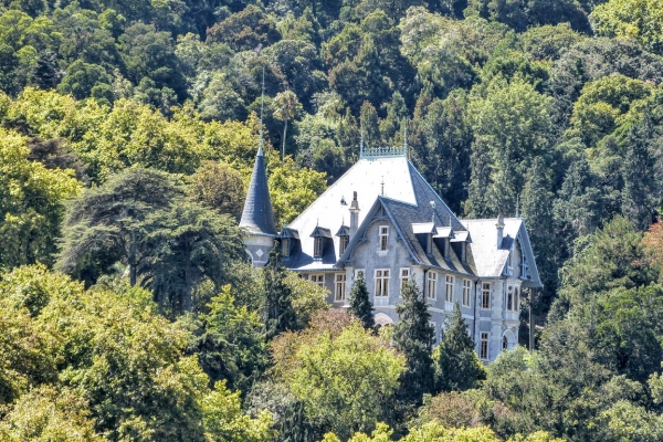 Zdjęcie z Portugalii - Pałac milionera - Quinta da Regaleira 