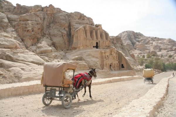 Zdjęcie z Egiptu - Petra