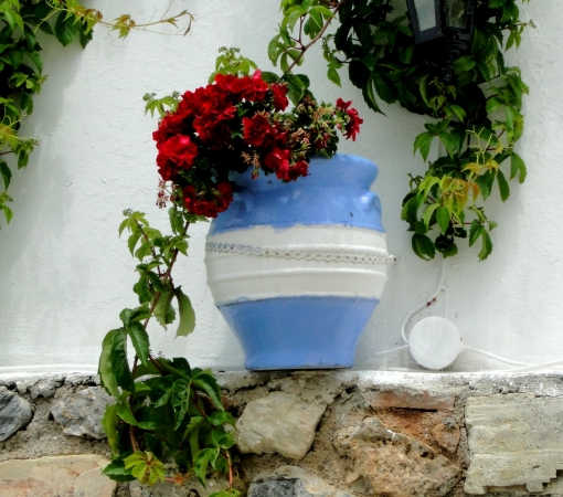 Zdjecie - Grecja - Wiosenny relaks na wyspie Kos