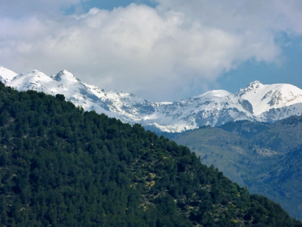 Zdjęcie z Francji - odwiedzając ten zakątek Prowansji- towarzyszą nam wspaniałe alpejskie widoki