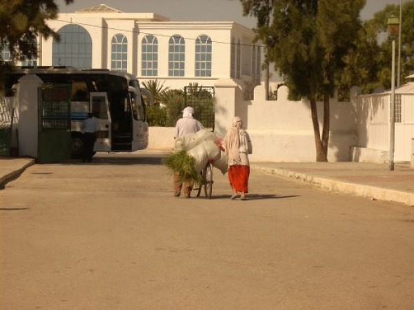 Zdjęcie z Tunezji - prawie jak 2000 lat temu