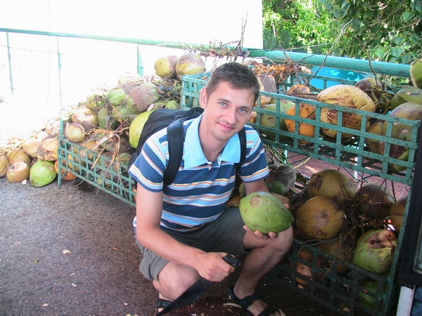 Zdjęcie z Kuby - zbieracz kokosów....