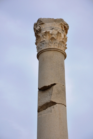 Zdjęcie z Tunezji - Kolumna Łaźnia Antoniusza