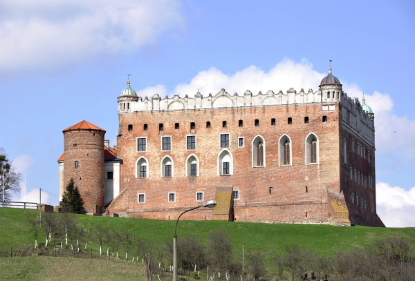 Zdjęcie z Polski - Widok na zamek