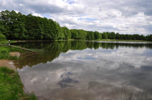 Zdjęcie z Polski - jezioro Sianowskie