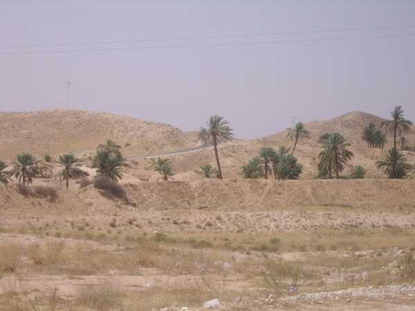 Zdjęcie z Tunezji - W drodze na pustynie