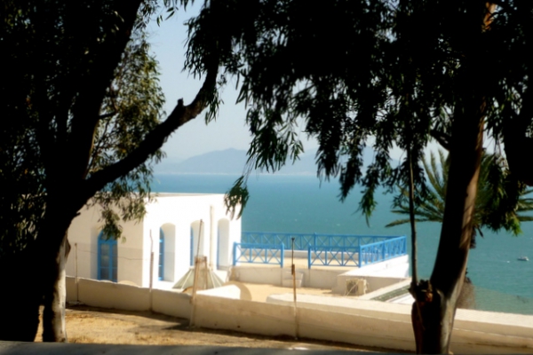 Zdjecie - Tunezja - Sidi Bou Said