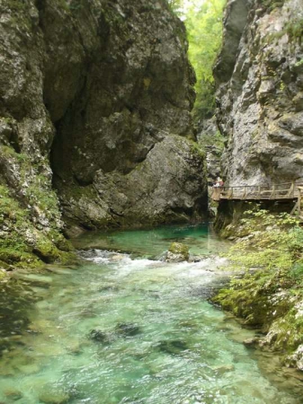 Zdjęcie ze Słowenii - Wąwóz Vintgar