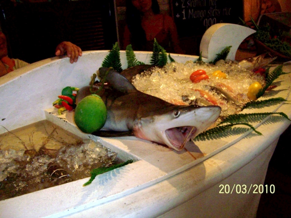 Zdjęcie z Tajlandii - Sprobujesz rekina?