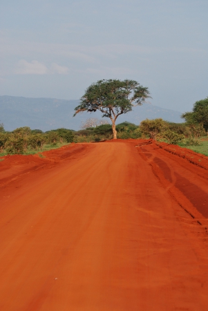 Zdjęcie z Kenii - czerwona ziemia Tsavo