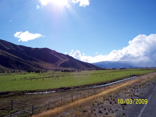 Zdjęcie z Nowej Zelandii - Nowozelandzkie krajobrazy