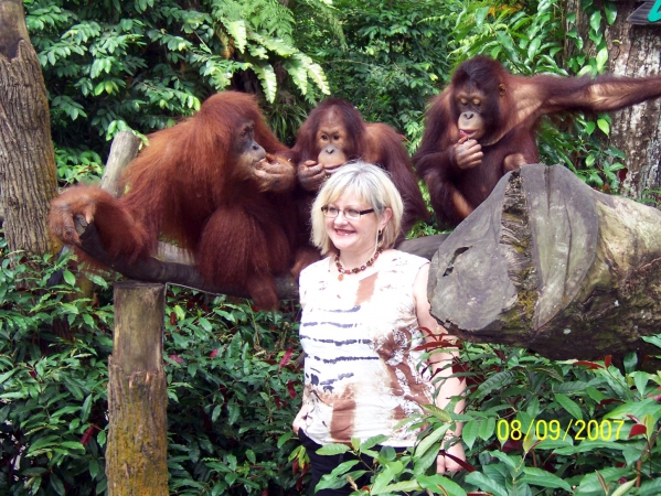 Zdjęcie z Singapuru - Fotka z orangutanami