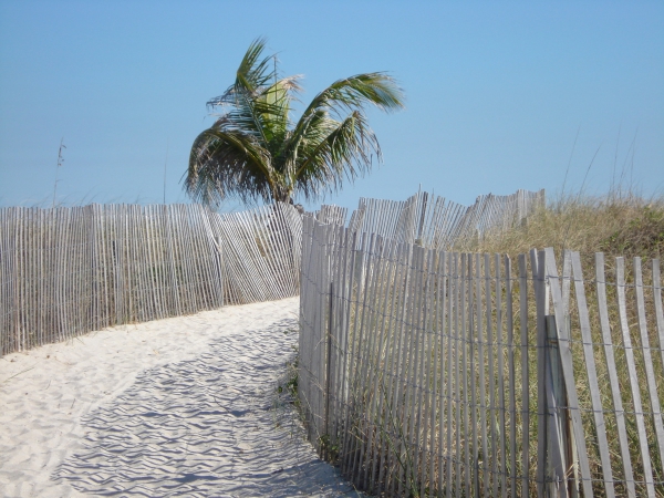 Zdjęcie ze Stanów Zjednoczonych - plaża w Miami