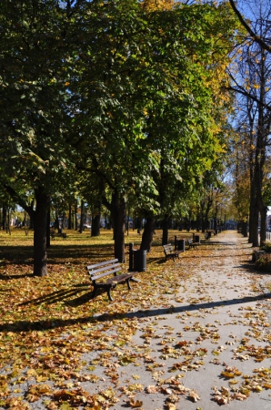 Zdjęcie z Polski - Park w centrum Augustowa