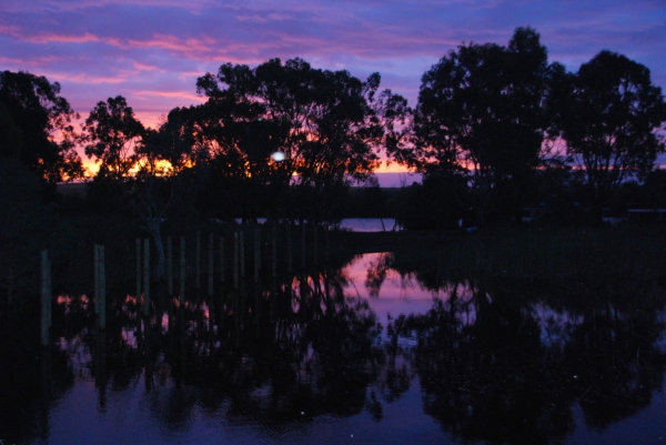 Zdjecie - Australia - Nad Murray River