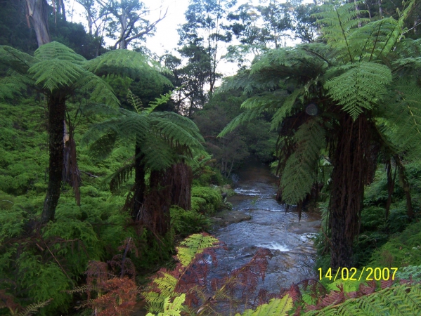 Zdjęcie z Australii - Przepiekny strumien,...