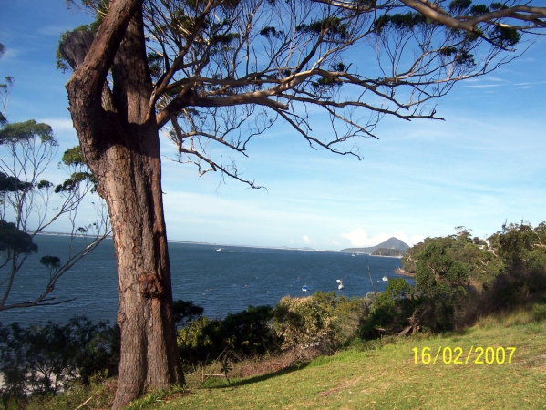 Zdjęcie z Australii - Nelson Bay