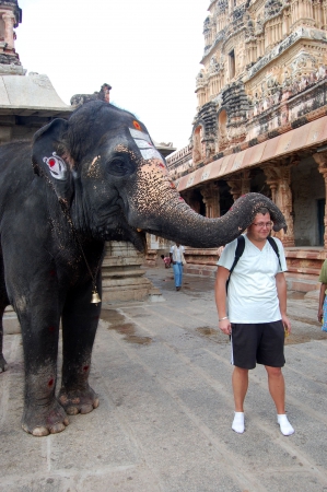 Zdjęcie z Indii - Błogosławione między słon