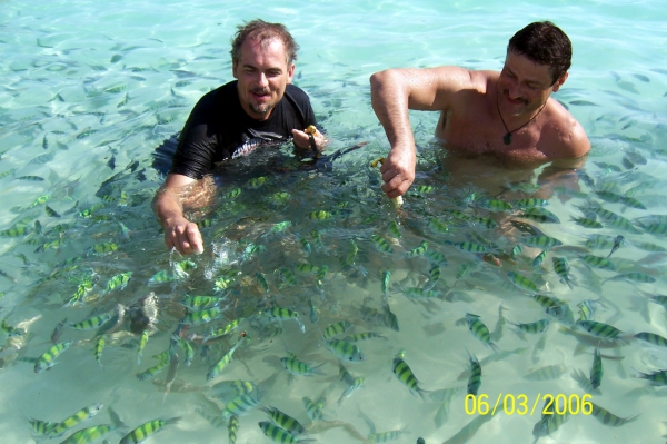 Zdjęcie z Tajlandii - Sesja z rybkami