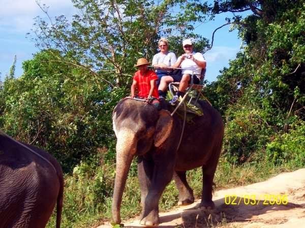 Zdjęcie z Tajlandii - Safari ma sloniach