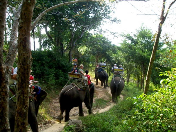 Zdjęcie z Tajlandii - Safari na sloniach