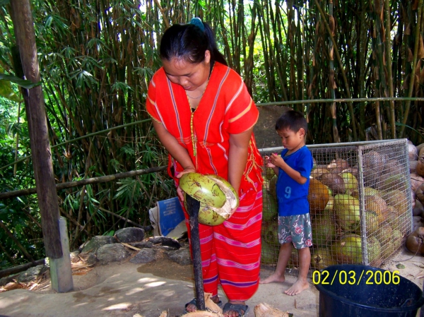 Zdjęcie z Tajlandii - Obrobka kokosow