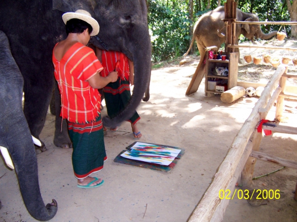 Zdjęcie z Tajlandii - Słon maluje obrazek
